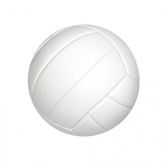 루체트리 배구공 샤론 공