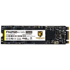 AITC 艾格 FM250 SSD 256GB M.2 2280 SATAIII 固態硬碟