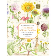 (영문도서)The Album of Plant Families: An Illustrated Exploration of Nature's Beauty and B... Hardcover, Abbeville Press, English, 9780789215413