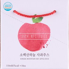 [소백산하늘] 7년연속 미국 수출중인 씨없는 사과즙 소백산하늘사과주스, 110ml, 10개