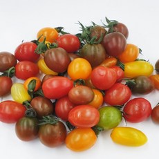 달콤한 컬러 건강 간식 컬러 대추 방울 토마토, 1박스, 1kg