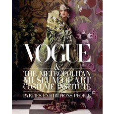 Vogue & the Metropolitan Museum of Art Costume Institute: Parties Exhibitions People, Harry N Abrams Inc