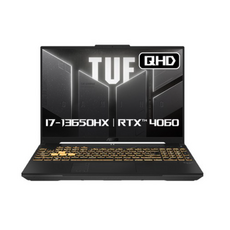 에이수스 2024 TUF 게이밍 F16 코어i7 인텔 13세대 지포스 RTX 4060, Mecha Gray, 2560GB, 16GB, WIN11 Home, FX607JV-QT213