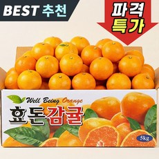 제주 서귀포 효돈 제철감귤, 1박스, 감귤 5kg 로얄과 (2S/S/M)