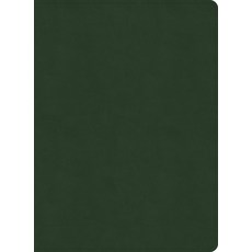 (영문도서)NASB Study Bible Olive Leathertouch Imitation Leather, Holman Bible Publishers, English, 9798384540397