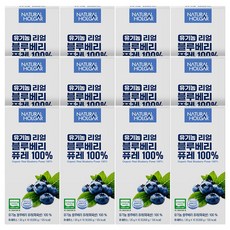 네츄럴올가 유기농 리얼 블루베리 퓨레 100%, 120개, 20g 120개, 20g