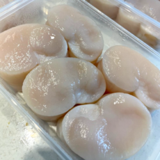 국내산 급냉 통 관자 500g 관자버터구이 샤브샤브재료 관자요리 파스타재료 캠핑준비 집들이음식 키조개관자 키조개삼합 급속냉동 관자미역국 샐러드재료, 1개, 대 사이즈 500g(5~7미)