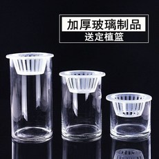 透明水培玻璃花瓶，附定植籃，適用於客廳綠蘿白掌, 10*20+水培籃