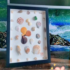 해양조개 표본 액자 사각 프레임 수공예 기념장식 소품보관, B_7인치(12.7x17.8cm) 조개별매, A_블랙 정사각형 9인치