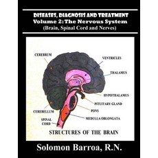 (영문도서) Diseases Diagnosis and Treatment Paperback, Createspace Independent Pub..., English, 9781484994474