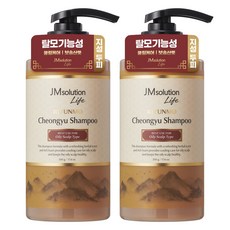 제이엠솔루션라이프 리윤모 청유 지성 한방 헤어 샴푸, 2개, 500ml