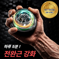 루이온 강력한 파워 자이로볼 전완근 손목 악력 운동기구, 1개, 클리어블랙