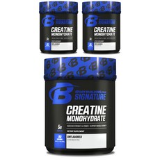 BODYBUILDING 一水肌酸粉, 3個, 400克