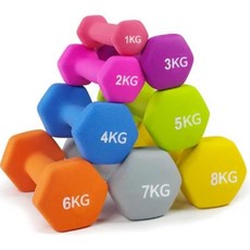 피트니스 장비 제조업체 컬러 덤벨, 1개, 1g, 5. 실버