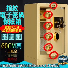 興雲網購 興韋 60cm 指紋密碼 保險箱, 土豪金