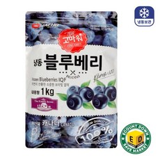 A급 고당도 블루베리 미국캐나다산 세척 프리미엄 1kg 1개, 단품
