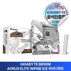 GIGABYTE B850M AORUS ELITE WIFI6E ICE 피씨디렉트, 단일제품