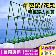 花架爬藤支架桿 黃瓜/豆角/絲瓜/葡萄/番茄爬藤架 家用園藝架 戶外庭院陽臺適用, 1個, 150長x90高【三橫八豎】送網,8mm【花架】配件齊全