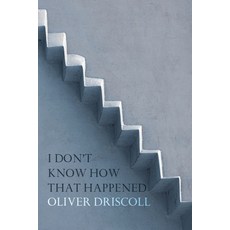 I Don't Know How That Happened Paperback, Recent Work Press