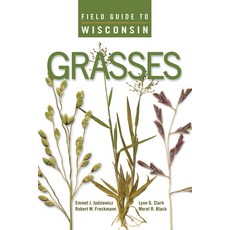 (영문도서) Field Guide to Wisconsin Grasses Paperback, University of Wisconsin Press, English, 9780299301347