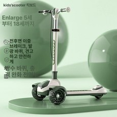 세발 고학년 중학생용 초보자용 출퇴근용 산책용 폴딩, 1개, 포레스트 그린 높이 조절 음악 없음