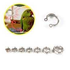 앵무새 발목링 오픈형 산책 미아조 방지 반려새 새 조류 용품 소형 중형 대형 6호-15호, D 9호, 1개