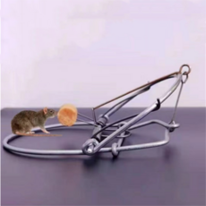 두더지퇴치기 두더지덫 꿩뒃 쥐덫 새덫 금속 큰 마우스 트랩 쥐 트랩 스프링 트랩 스냅 설치류 케이지 다람쥐 제어 마우스 족제비 포수 해충 제어 도구, 협력사, 1개