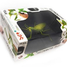 사마귀 무선조종 장난감 유아 곤충 RC