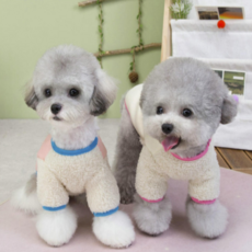 [파라쥬]강아지겨울티셔츠 강아지실내복 풍선후리스 배색티, 1개, 풍선핑크