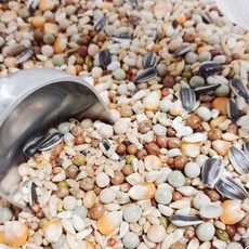 日生元 綜合雜糧飼料 600g 倉鼠鸚鵡鳥鴿子鼠飼料, 1個, 綜合飼料(一斤)