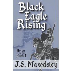 (영문도서) Black Eagle Rising Paperback, J.S. Mawdsley, English, 9798224324248