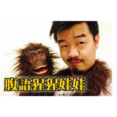 808 MAGIC 魔術道具 腹語猩猩 逼真腹語猩猩, 1個