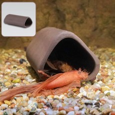 어와둥둥 안시산란상 아쿠아룸mim6+9zSI