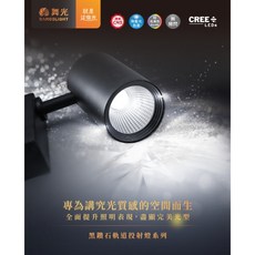 舞光 黑鑽石軌道燈 10w/20w/30w/40w 黃光/自然光/白光 白/黑色 一年保固 全電壓, 1個, 黑色10w,黃光