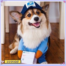 限時下殺 挑戰最低價 搞怪快遞員變身裝狗狗寵物貓咪衣服萬聖節服飾裝飾用品中大型犬, 1個, 快遞變身裝藍色,S(胸圍40-50cm)