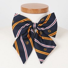 어썸옴므 네이비 여성 리본 넥타이