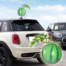 차량용 수박 안테나볼 자동차 실외 안테나 악세사리 장식용품