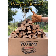 챔피언장작 유칼립투스 연기없는 완전건조 캠핑장작 10kg, 1개