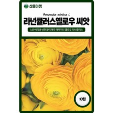 산들마켓 라넌큘러스 옐로우 꽃씨앗 10립 매력적인 노란색 다년생 꽃씨 종자, 1개