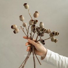 금성여자 플랜테리어조화 생화같은 조화 행잉식물, 1개, 20송이