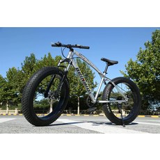 광폭타이어 팻자전거 바퀴큰 경량 타이어 펫자전거, 26inch, 7단, 실버화이트 26인치