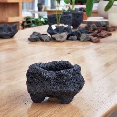 모리앤 화산석 돌화분, 1개