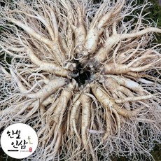 6년근 수삼 인삼 풍기 인삼 난발삼 풍기인삼시장 한보인삼사, 400g, 미세척, 400g