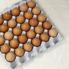 HACCP받은 _구운계란 1판30구+소금, 큰손_구운계란 1판(30구), 1개