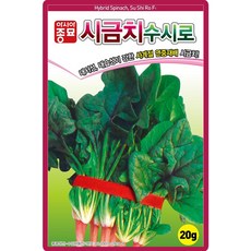 산들마켓 수시로 시금치 씨앗 20g 사계절 연중재배 시금치씨 종자, 1개