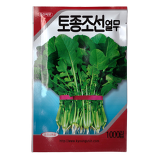 경신 토종 조선 열무 씨앗 1000립, 1개