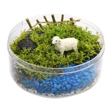 깃털이끼 테라리움 양 (1인용), 1개