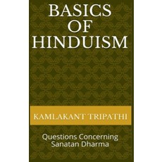 (영문도서) Basics of Hinduism: Questions Concerning Sanatan Dharma Paperback, RAM Nivas Kumar, English, 9798227396891