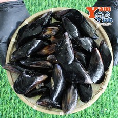 국내산 제철 홍합 섭 담치 1kg 산소포장, 1개