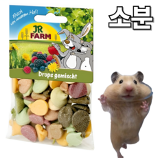 햄스터 친칠라 간식 비타민 드롭스, 1세트, 25g
